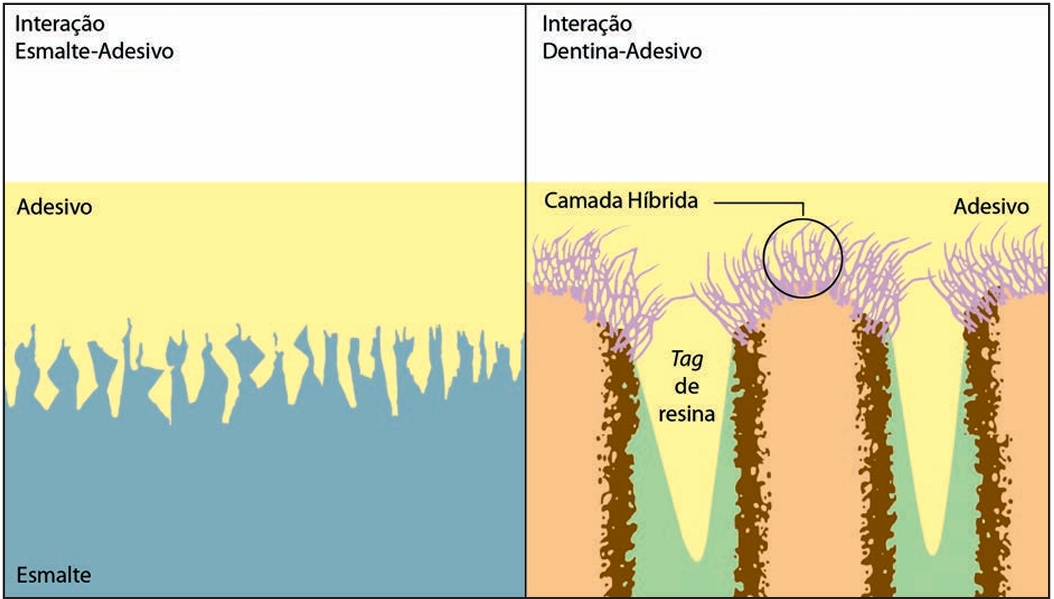 adesão aos tecidos dentais parte 2