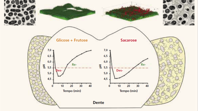 Potencial-de-cárie-dentária-na-presença-de-diversos-tipos-de-açúcares