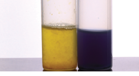 Teste de acídez salivar: (esquerda, cor amarela) - pH ácido (consumo de limão espremido); (direita, cor azul escura) - pH básico (2 horas depois). 